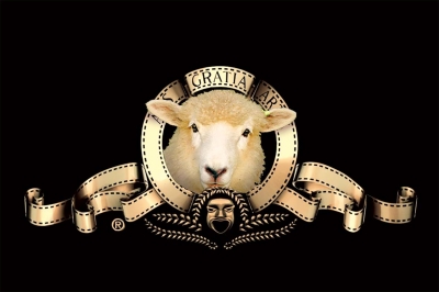 Jeden pasterz jedna owczarnia