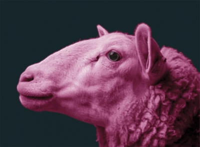 Manipulacja to nic złego? - rozmowa z prof. Jackiem Wodzem