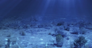 Polskie surowce z dna mórz i oceanów